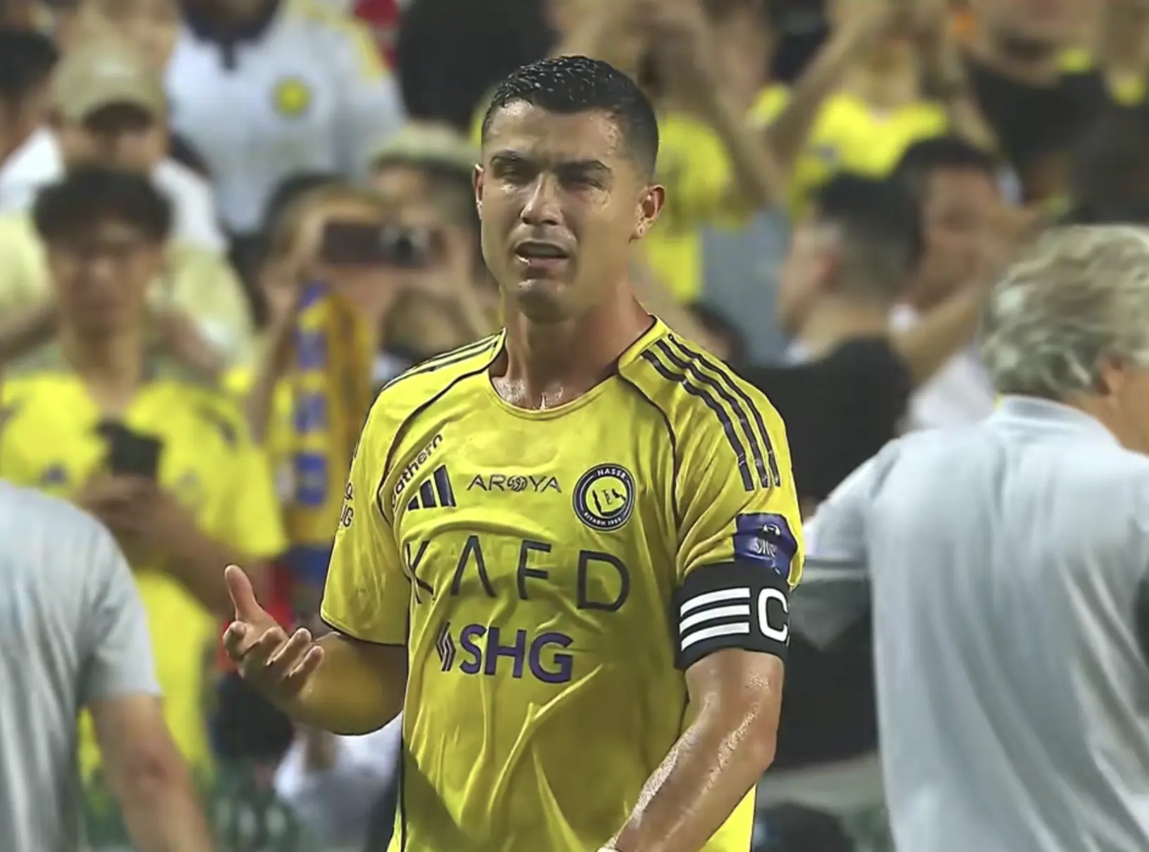 晋级决赛, entit, entit