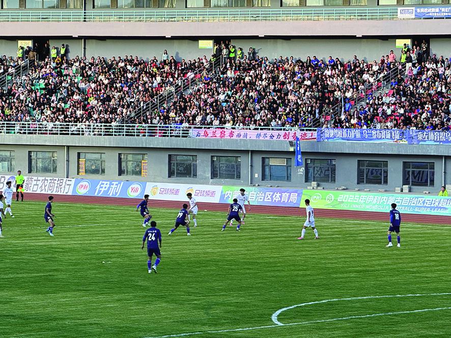 翟辉, 参与体育