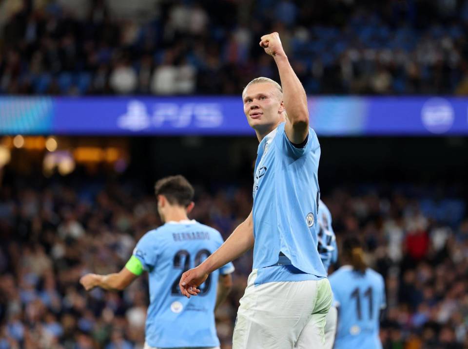 岁的巴西中, 岁的巴西新